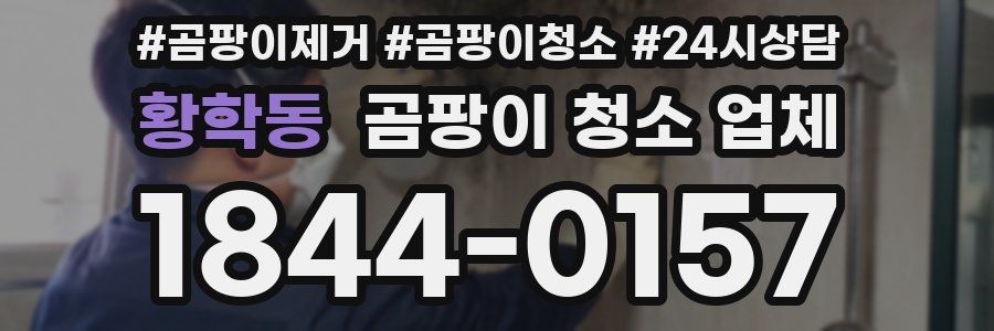 황학동 곰팡이 청소 업체