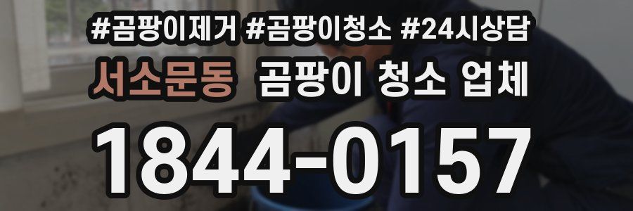서소문동 곰팡이 청소 업체