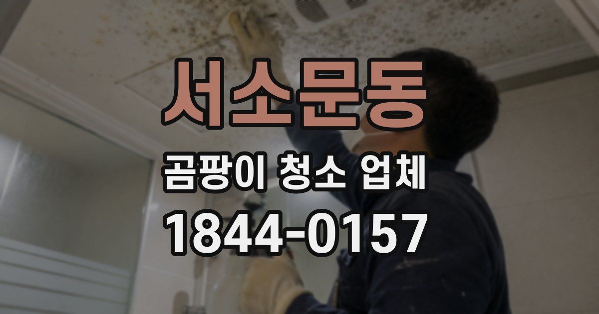 서소문동 곰팡이 청소 업체