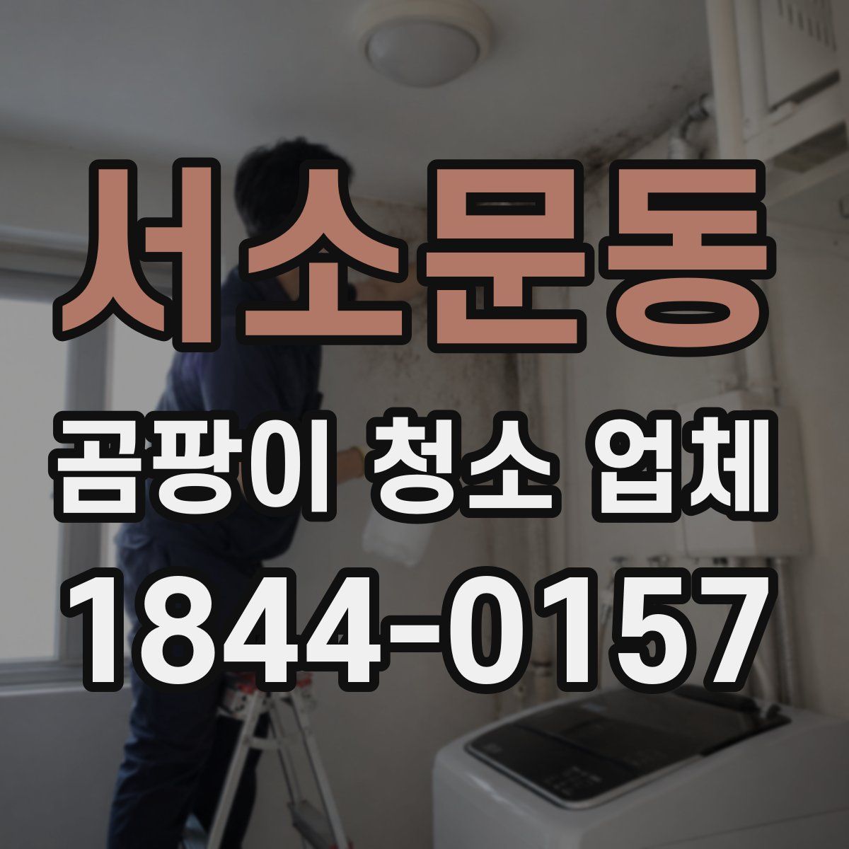 서소문동 곰팡이 청소 업체