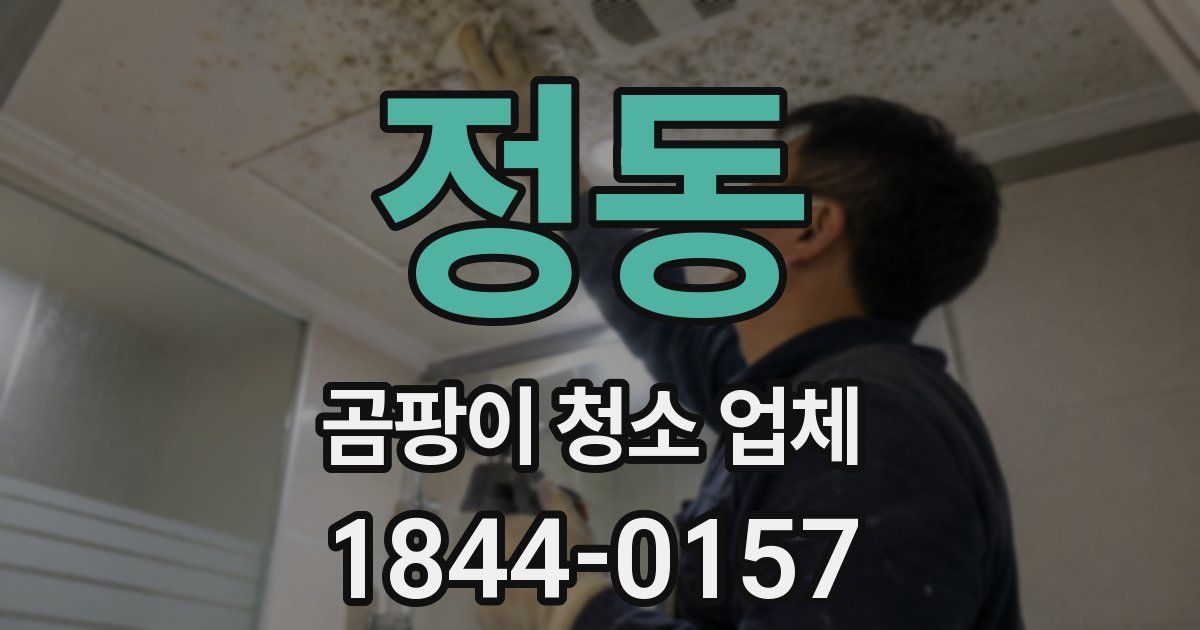 정동 곰팡이 청소 업체