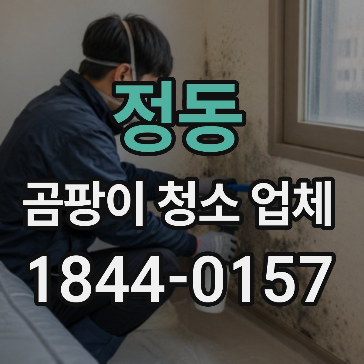 정동 곰팡이 청소 업체