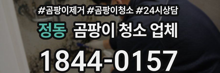 정동 곰팡이 청소 업체