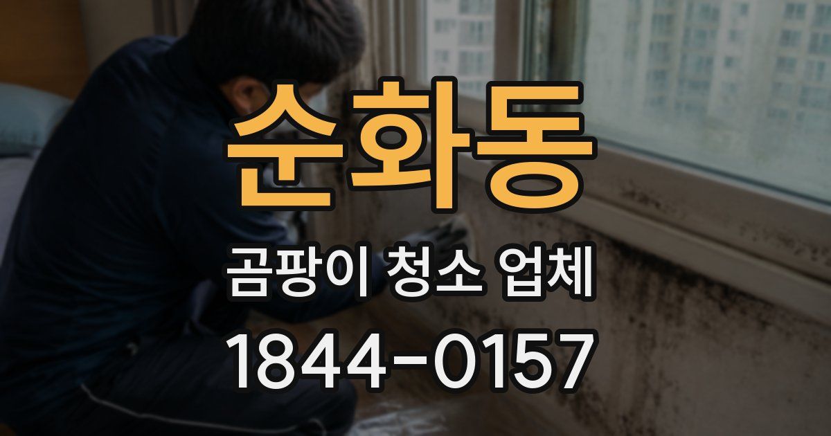 순화동 곰팡이 청소 업체