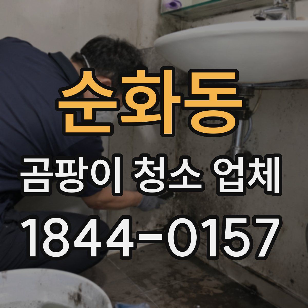 순화동 곰팡이 청소 업체