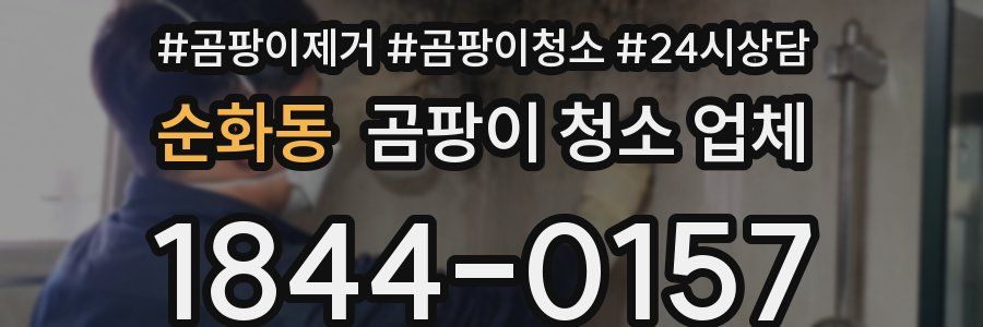 순화동 곰팡이 청소 업체