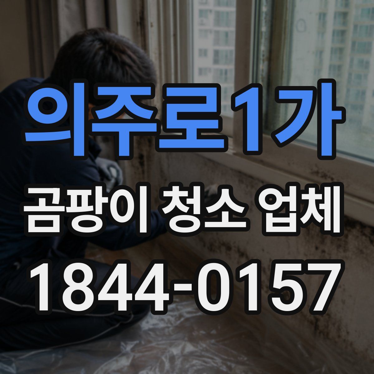 의주로1가 곰팡이 청소 업체