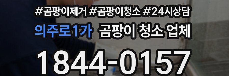의주로1가 곰팡이 청소 업체