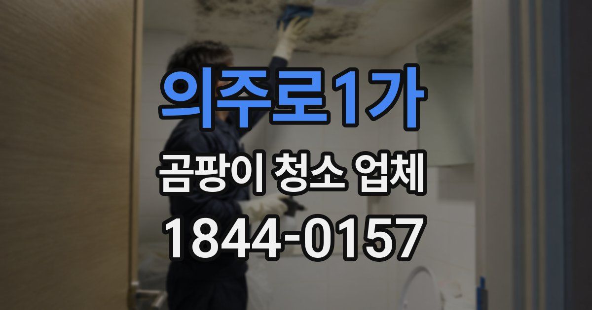 의주로1가 곰팡이 청소 업체