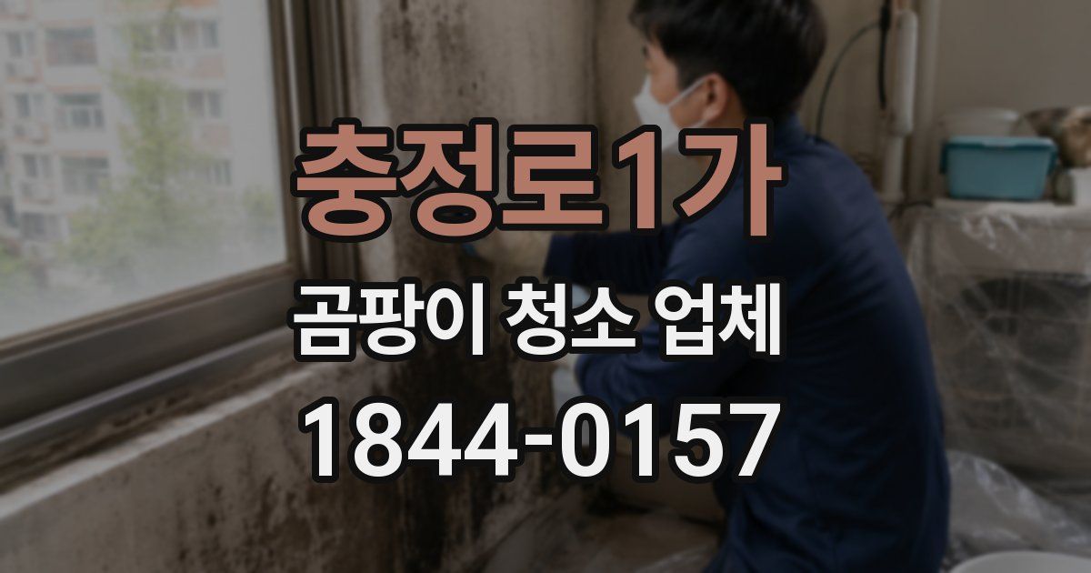 충정로1가 곰팡이 청소 업체