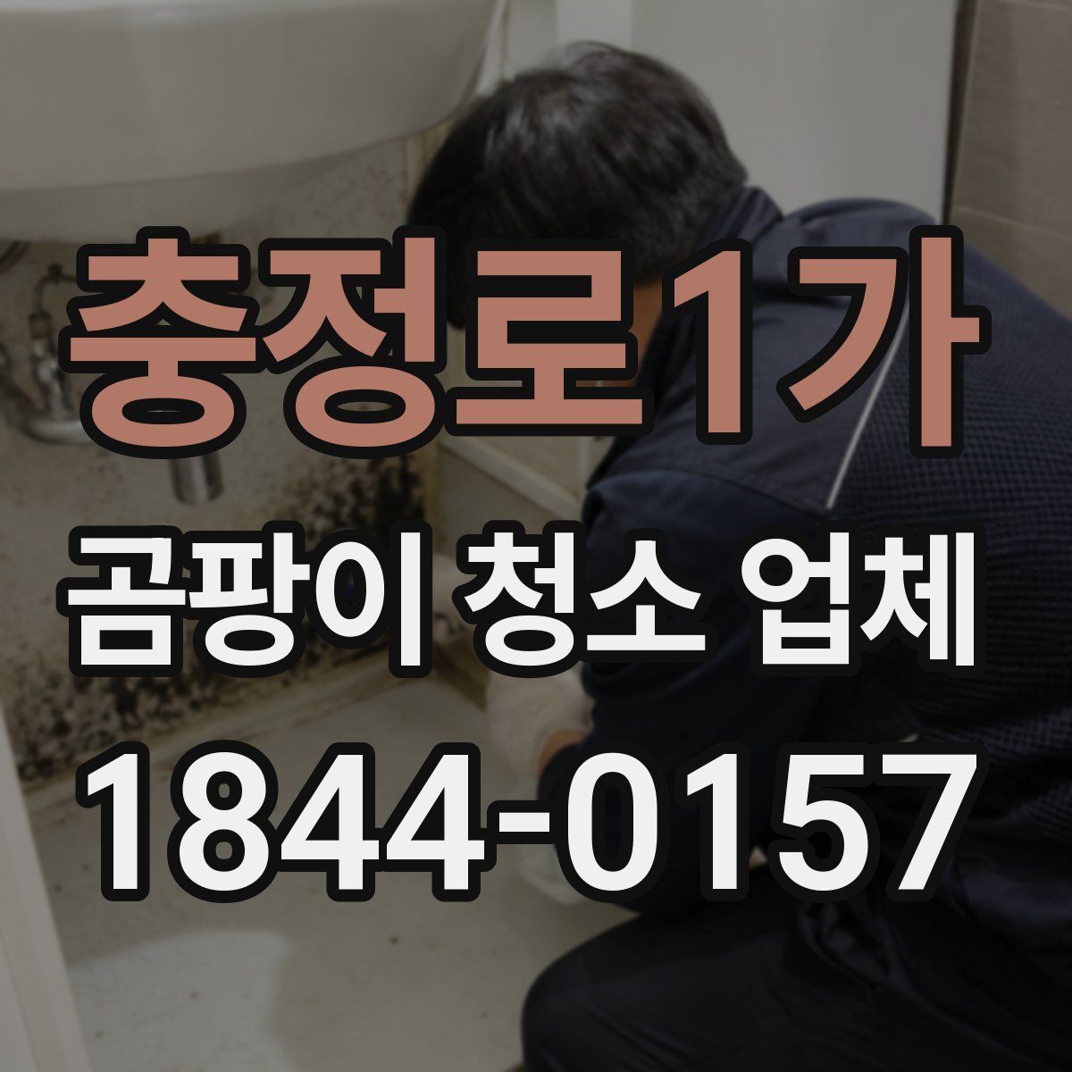 충정로1가 곰팡이 청소 업체