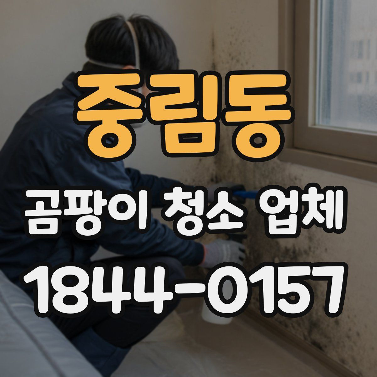 중림동 곰팡이 청소 업체