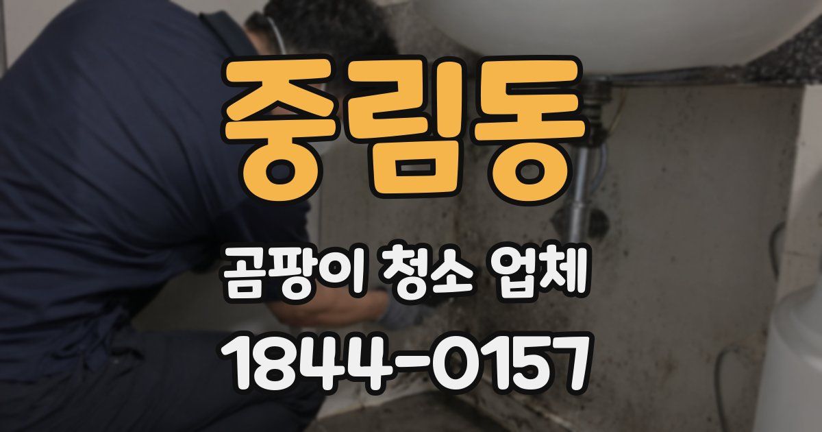 중림동 곰팡이 청소 업체