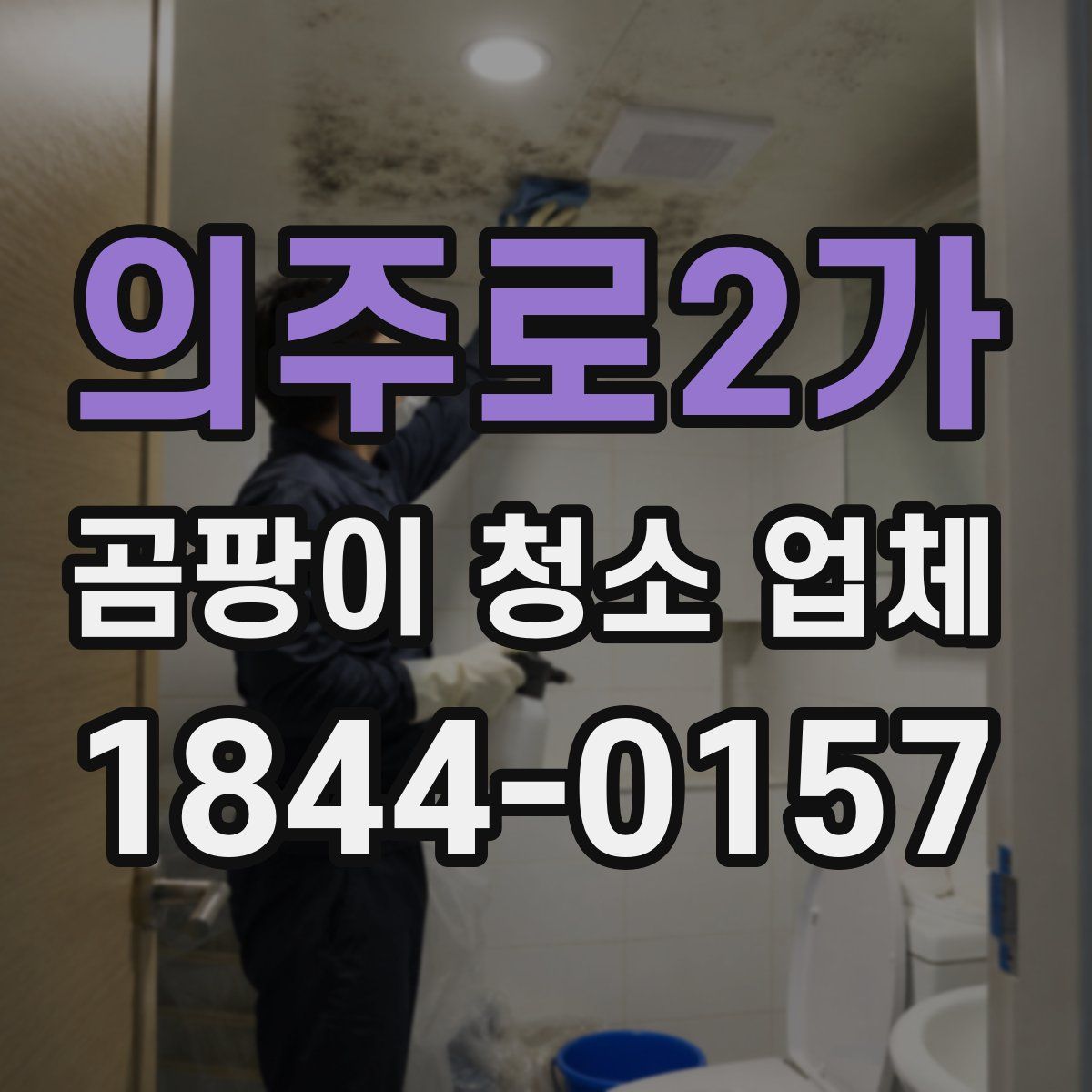 의주로2가 곰팡이 청소 업체