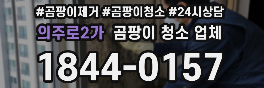 의주로2가 곰팡이 청소 업체
