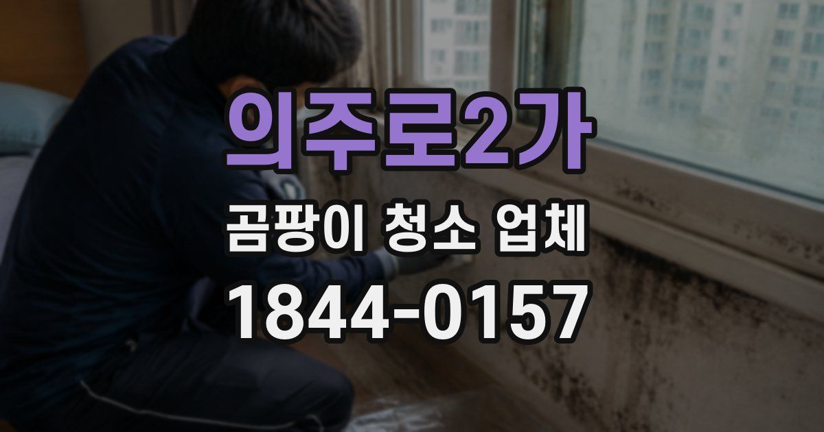 의주로2가 곰팡이 청소 업체