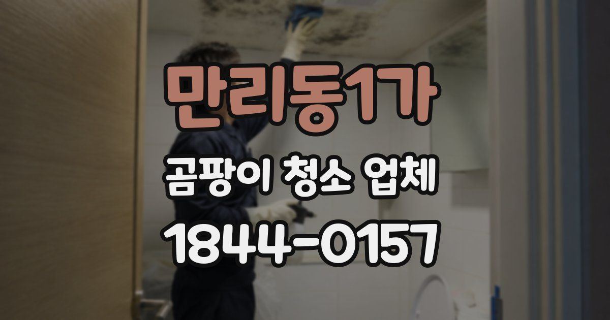 만리동1가 곰팡이 청소 업체