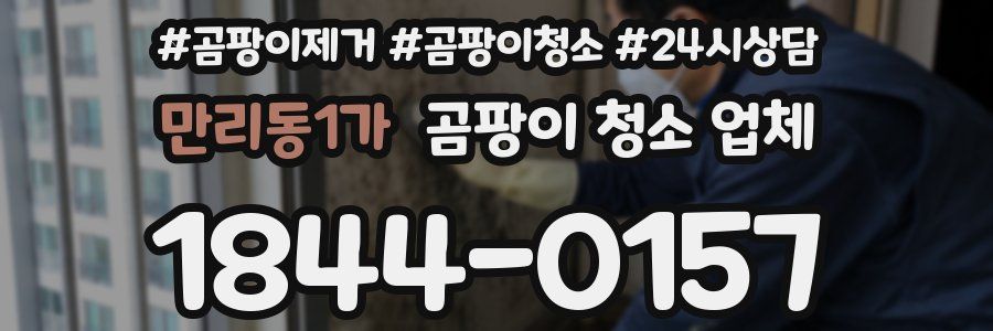 만리동1가 곰팡이 청소 업체