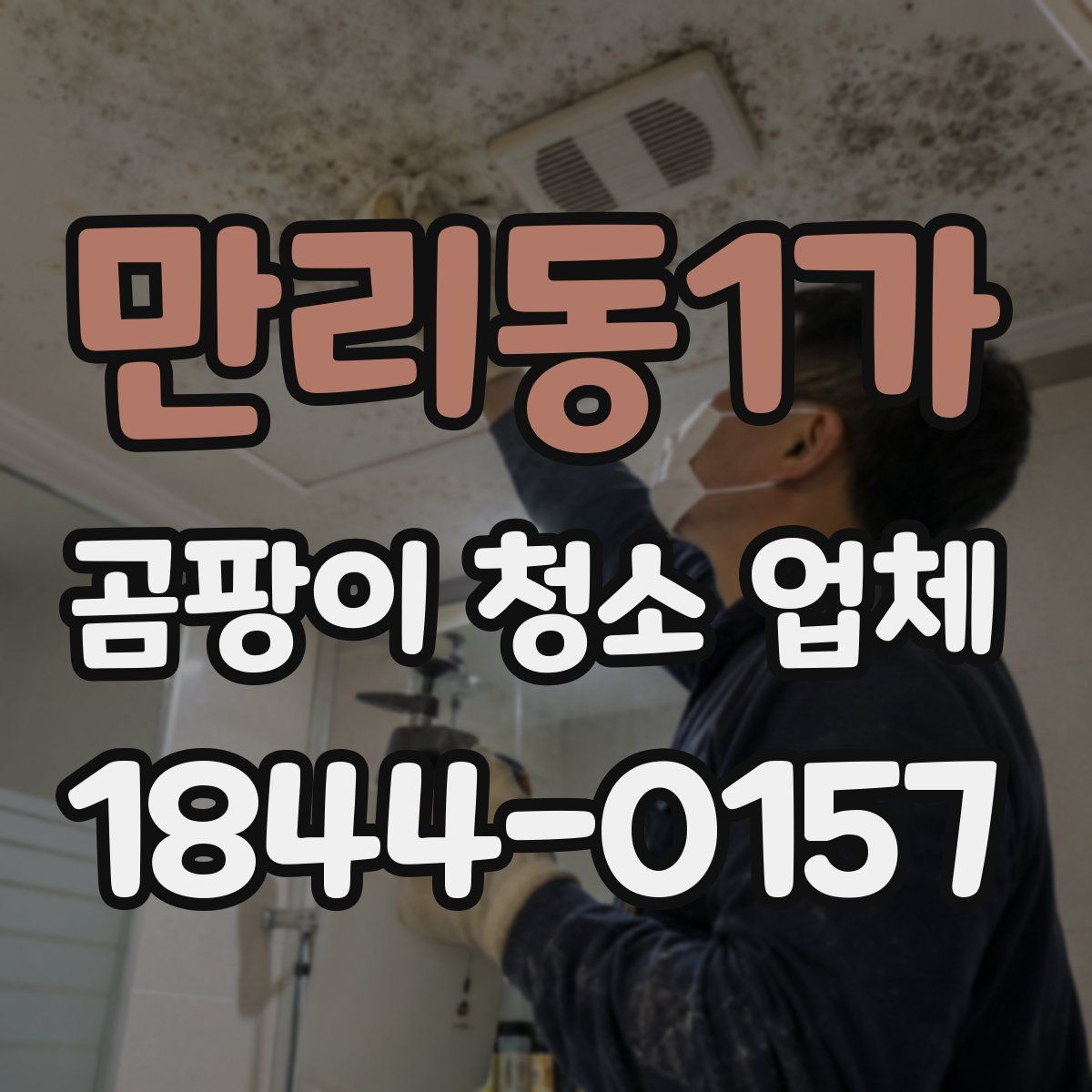 만리동1가 곰팡이 청소 업체