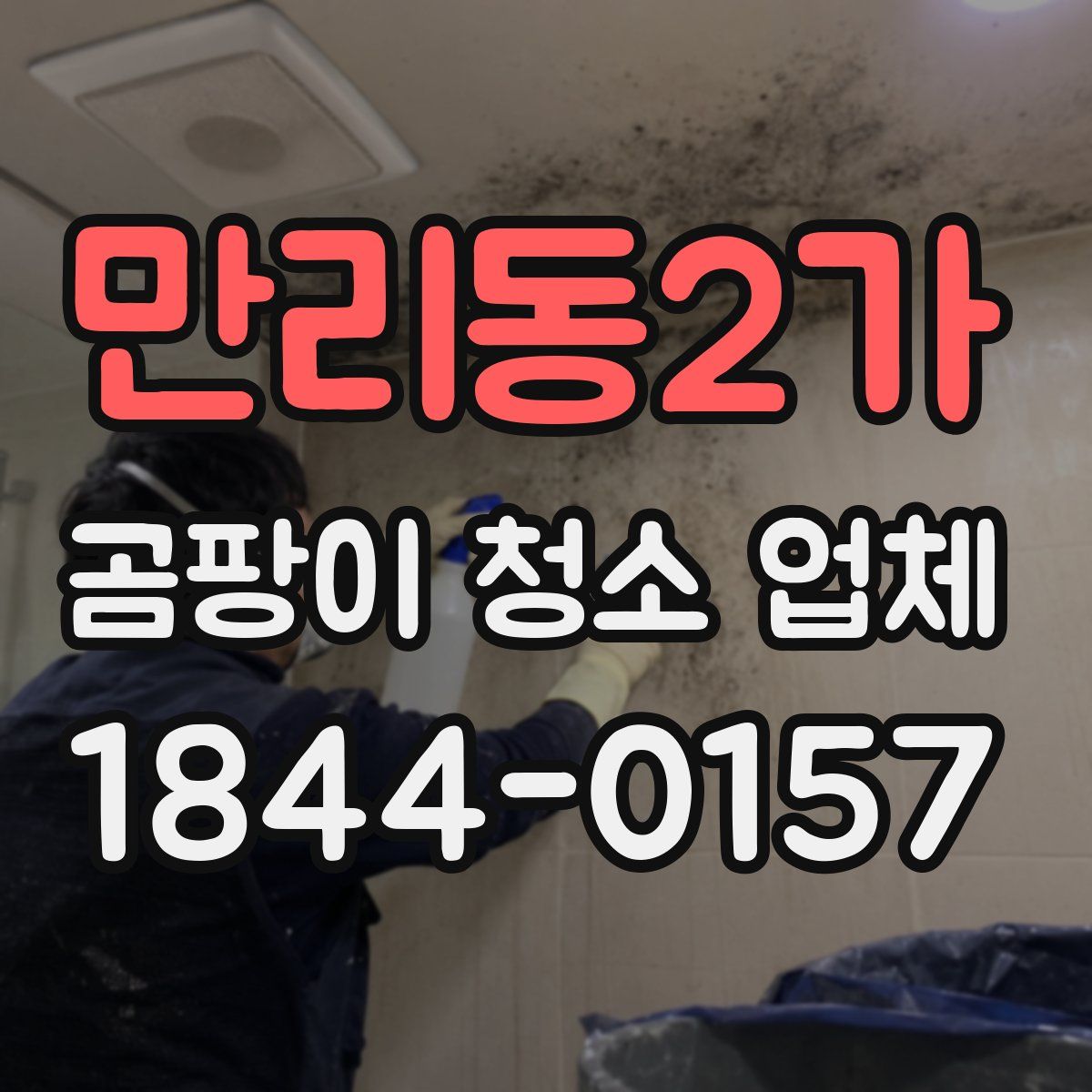 만리동2가 곰팡이 청소 업체