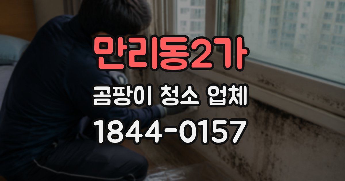 만리동2가 곰팡이 청소 업체
