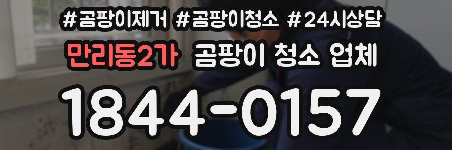 만리동2가 곰팡이 청소 업체