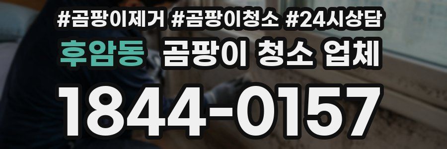 후암동 곰팡이 청소 업체