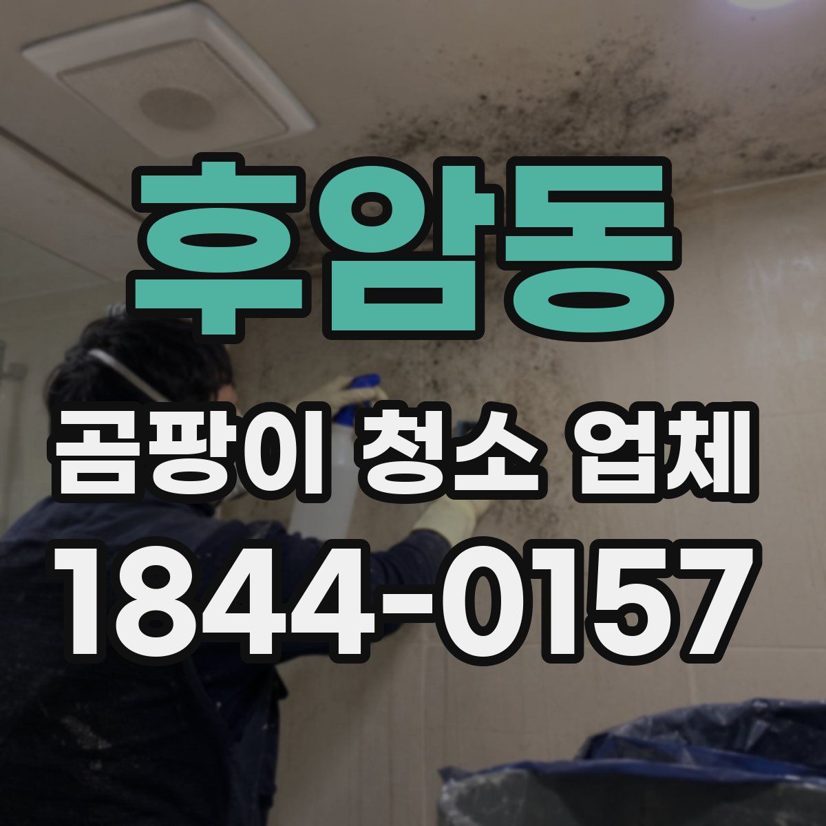 후암동 곰팡이 청소 업체
