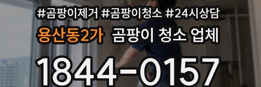 용산동2가 곰팡이 청소 업체
