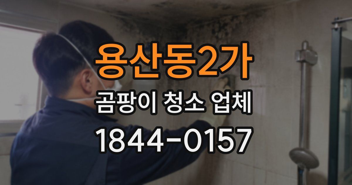 용산동2가 곰팡이 청소 업체