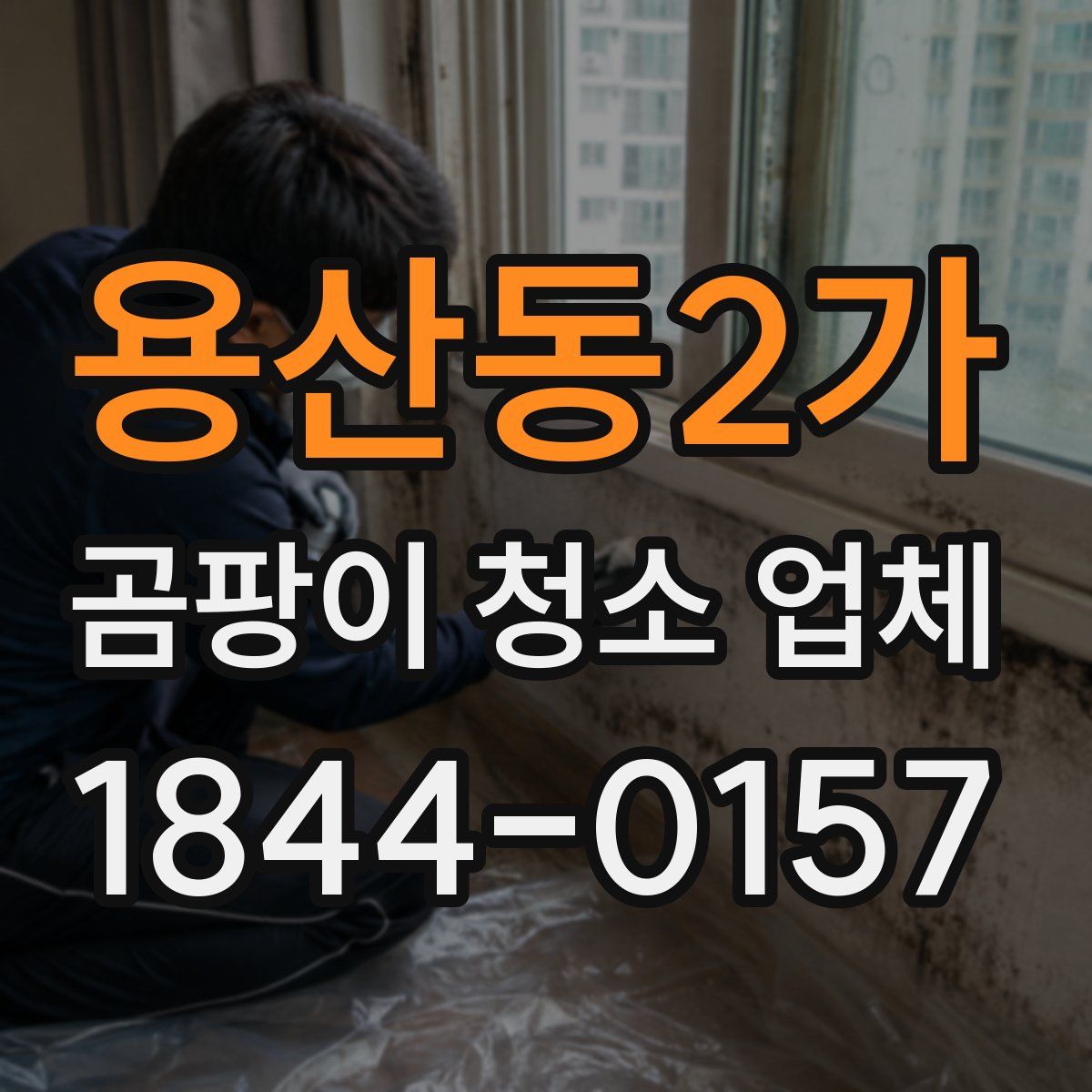용산동2가 곰팡이 청소 업체