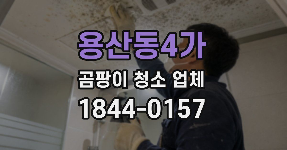 용산동4가 곰팡이 청소 업체