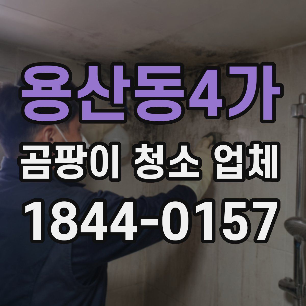 용산동4가 곰팡이 청소 업체