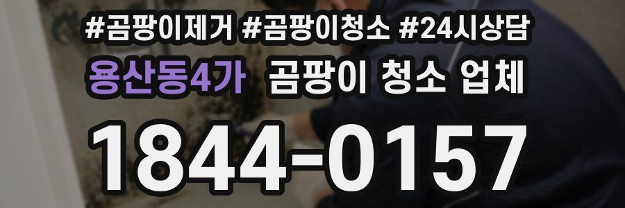 용산동4가 곰팡이 청소 업체