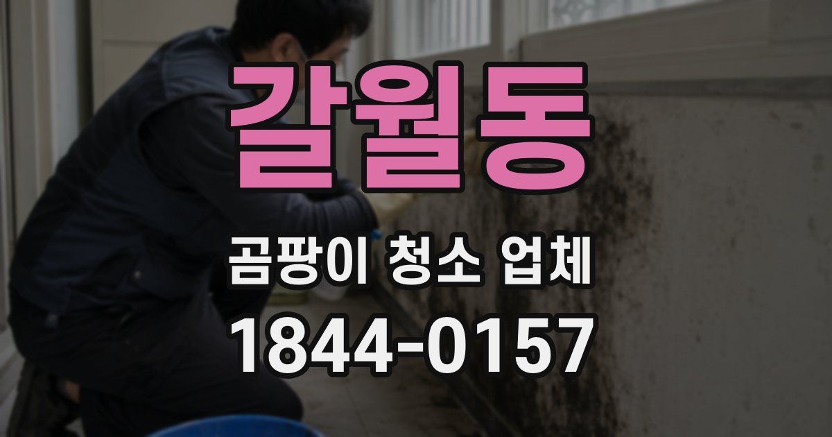 갈월동 곰팡이 청소 업체