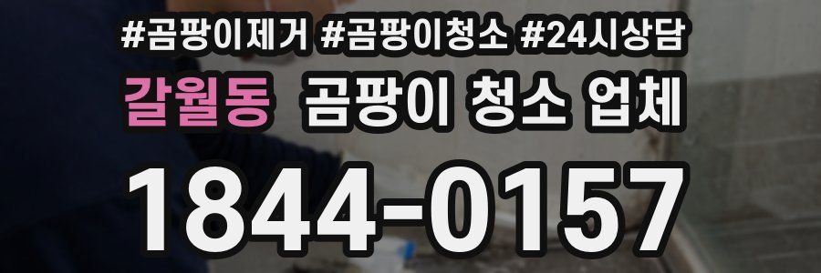 갈월동 곰팡이 청소 업체