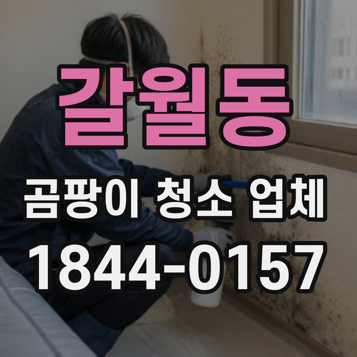 갈월동 곰팡이 청소 업체