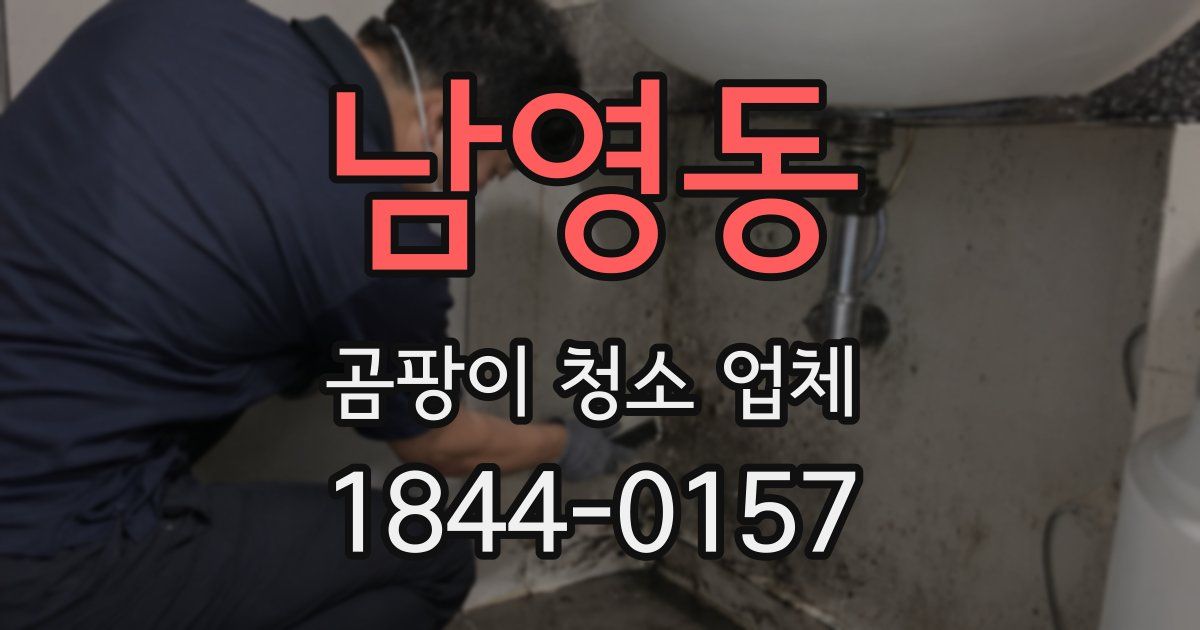 남영동 곰팡이 청소 업체