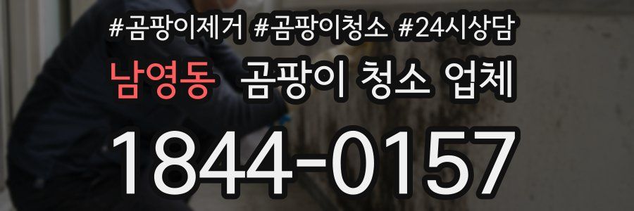남영동 곰팡이 청소 업체