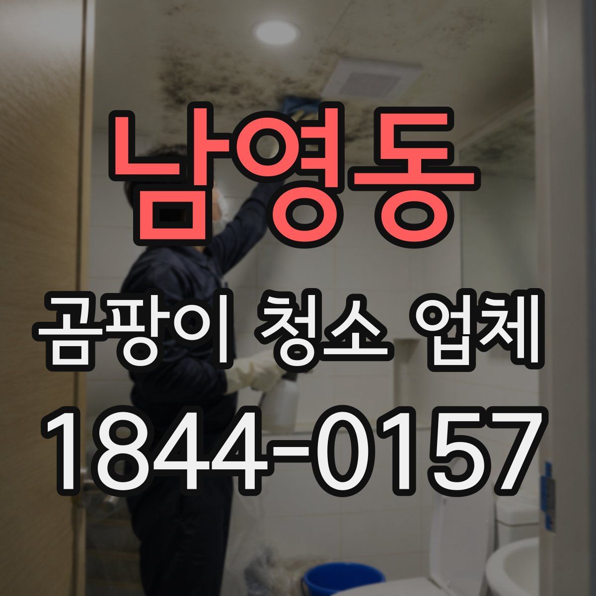남영동 곰팡이 청소 업체