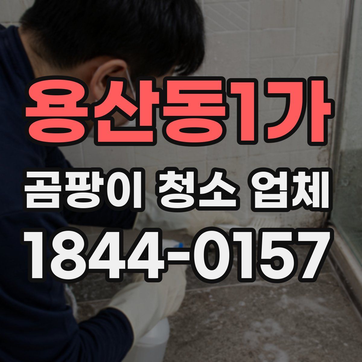 용산동1가 곰팡이 청소 업체