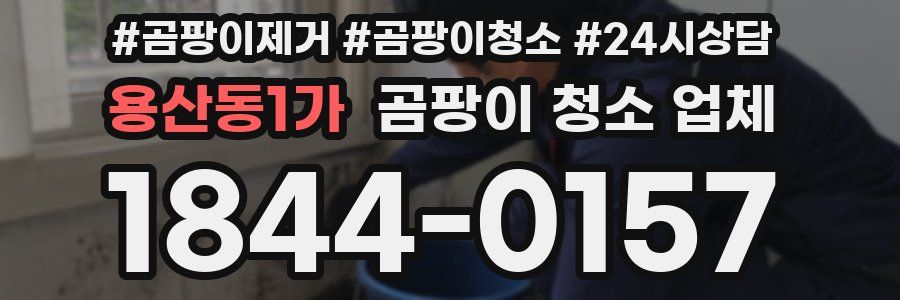 용산동1가 곰팡이 청소 업체