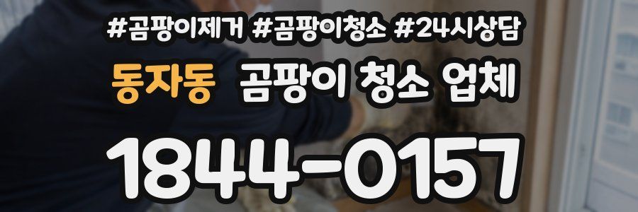 동자동 곰팡이 청소 업체