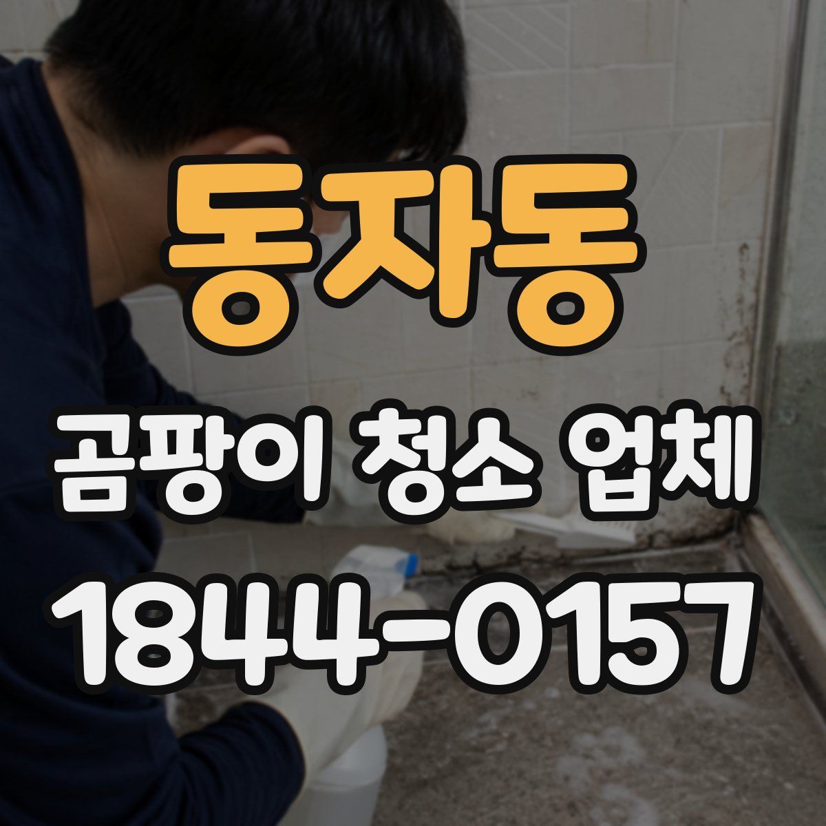 동자동 곰팡이 청소 업체