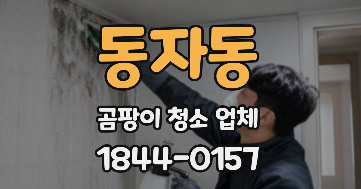 동자동 곰팡이 청소 업체