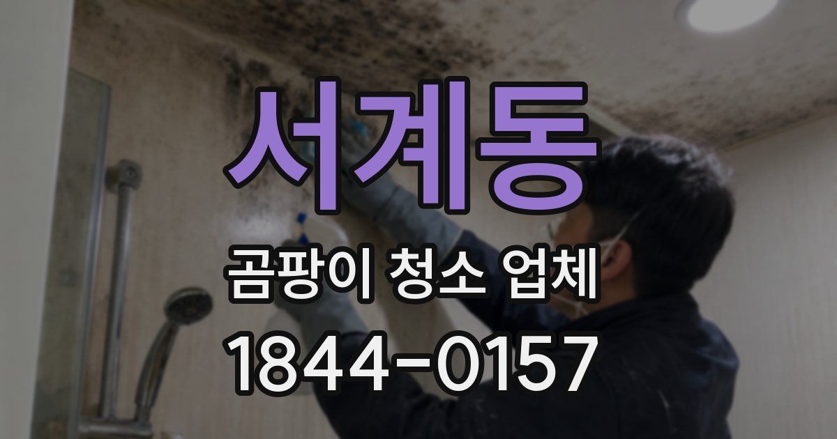 서계동 곰팡이 청소 업체