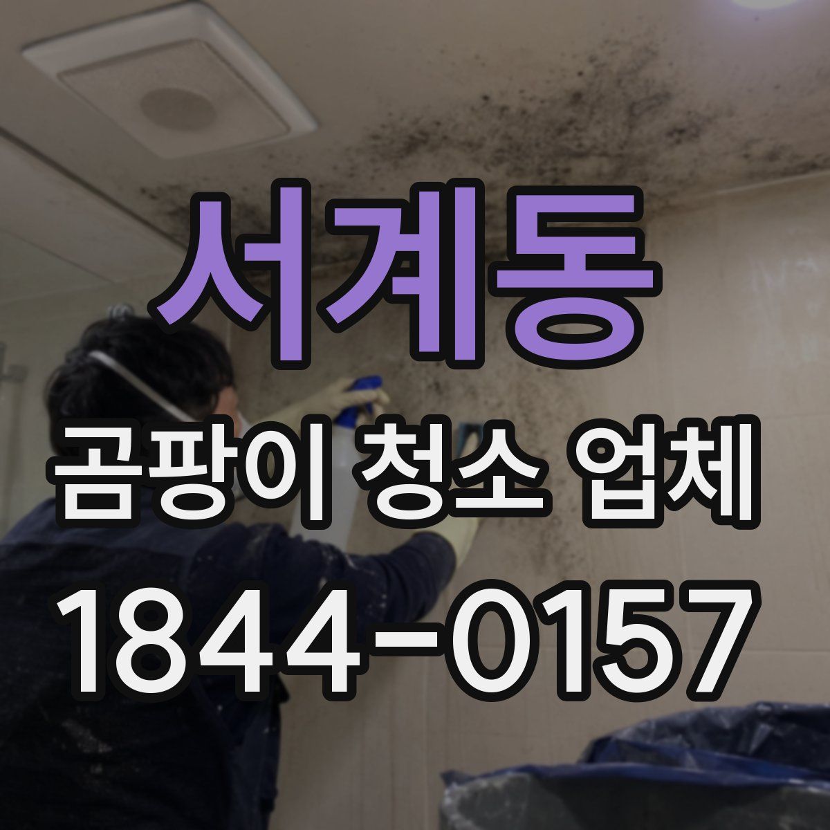 서계동 곰팡이 청소 업체