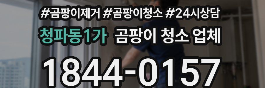 청파동1가 곰팡이 청소 업체