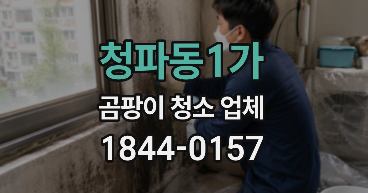 청파동1가 곰팡이 청소 업체