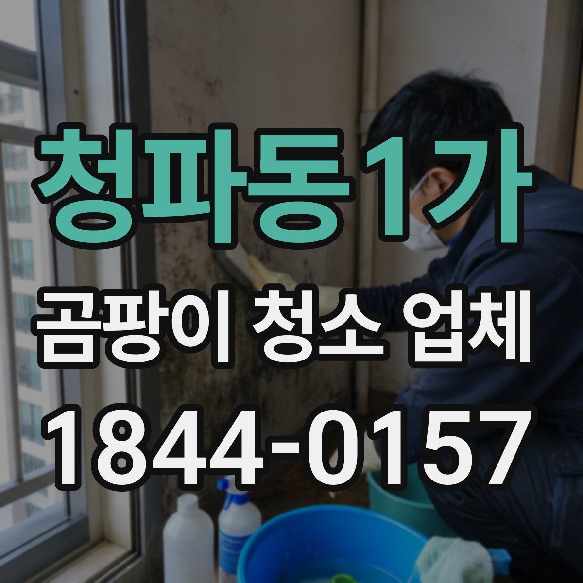 청파동1가 곰팡이 청소 업체